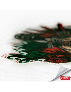 DigiBrick - Vinilo térmico textil de impresión 2