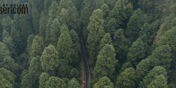 Hacia un camino más verde: La tinta de SERIGRAFÍA más ecológica del mercado